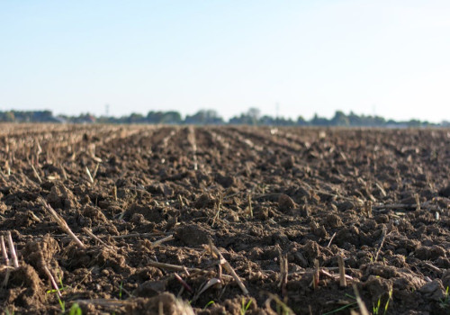 Wat is de beste grond voor een moestuin? Dit moet je weten
