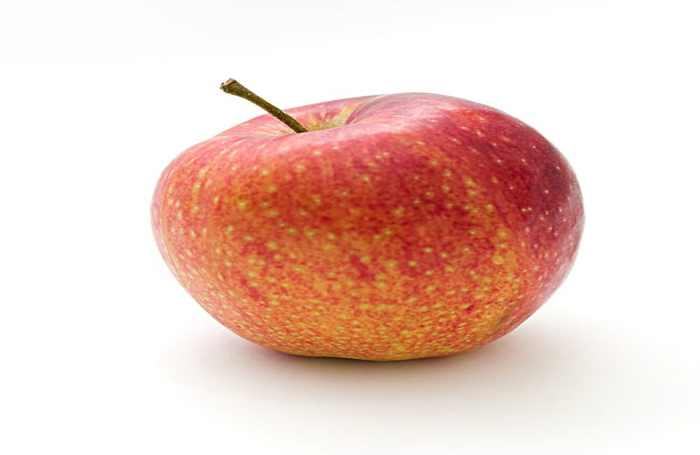 Wat betekent ‘de appel valt niet ver van de boom’ en wanneer gebruik je het?