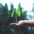 Wat is het verschil tussen potgrond en tuinaarde in de tuin?