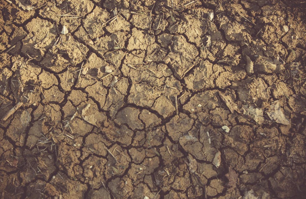 Wat is het verschil tussen potgrond en tuinaarde?