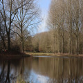 Vurige vijvers in je tuin: spiegelend water bij zonsondergang