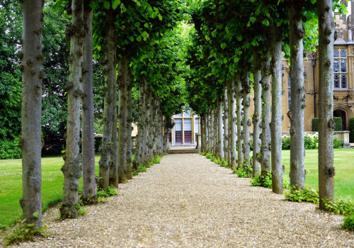 5 tips om privacy in uw tuin te creëren zonder veel ruimte te verliezen