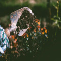 Wat is de beste tuinaarde voor je border of moestuin?