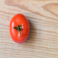 Waarom groeien je tomatenplanten niet goed en hoe los je het op?