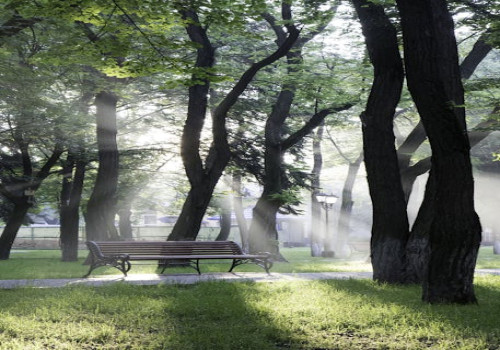 Hoe een tuinbank de perfecte sfeer creëert in uw tuin