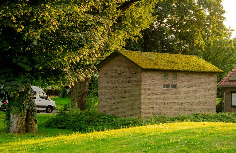 Populaire groendaken voor je schuur