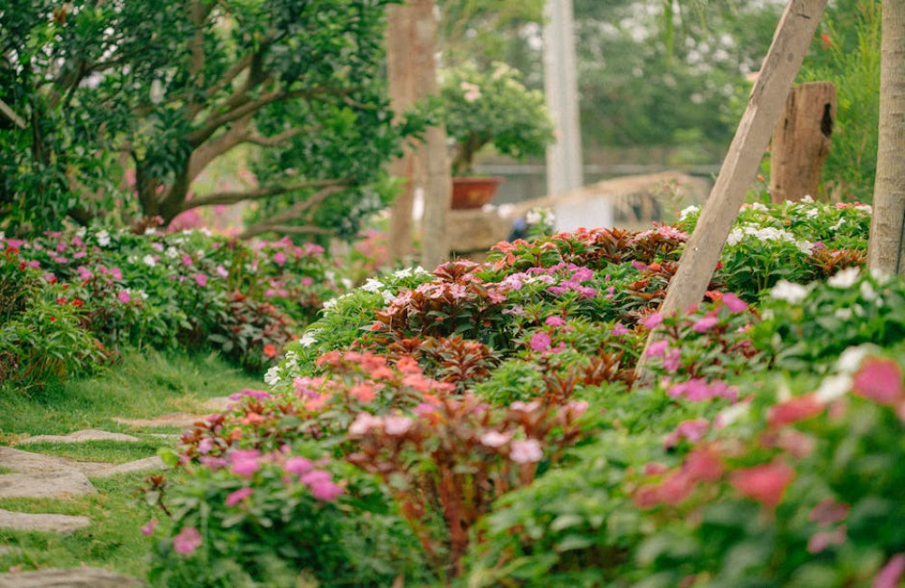 De juiste tuin begint met de juiste materialen: zo vergelijk je opties