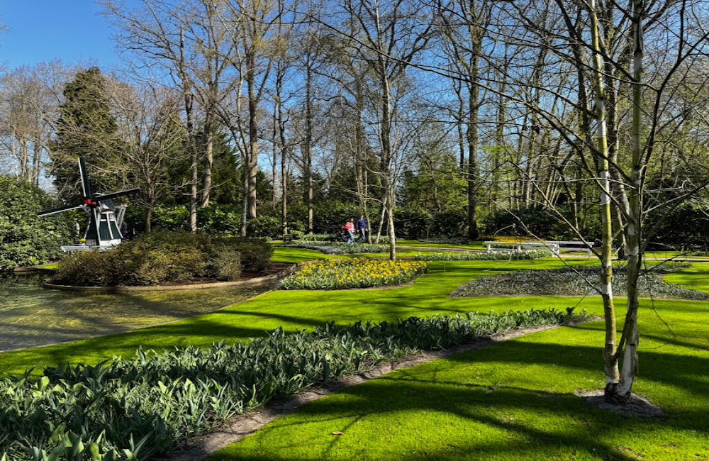 Van ontwerp tot onderhoud: zo creëer je een tuin die bij je past