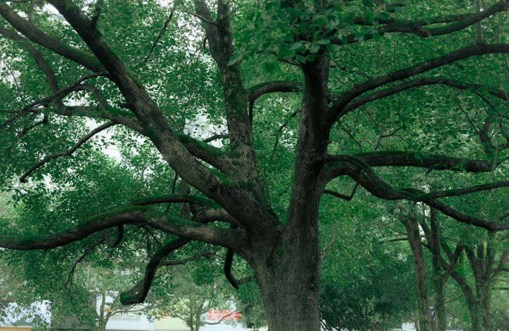 Schaduwdoek boven de zithoek: zo kies je de juiste maat en plek