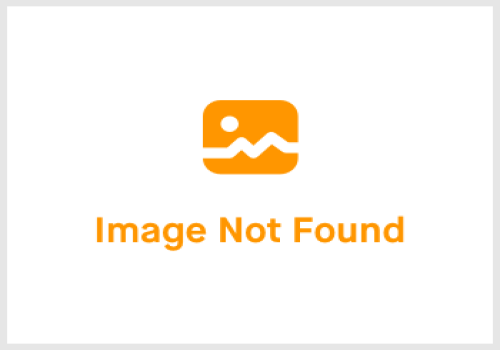 Schaduwtuin inrichten langs de schutting: planten, privacy en sfeer