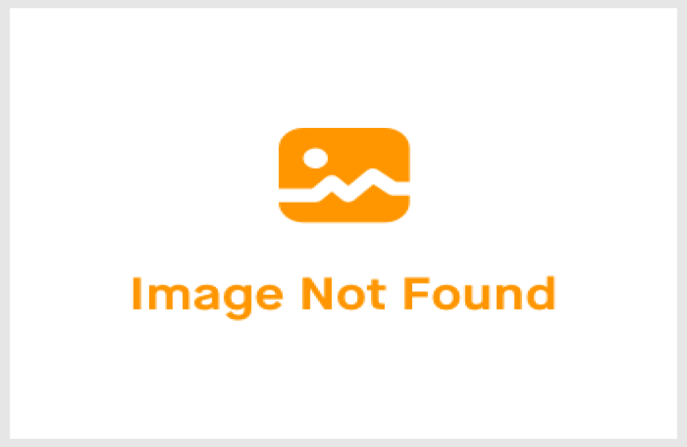 Schaduwtuin inrichten langs de schutting: planten, privacy en sfeer