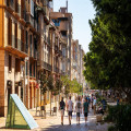 Cala Ratjada centrum: winkelen, markten en ideeën voor je eigen tuin