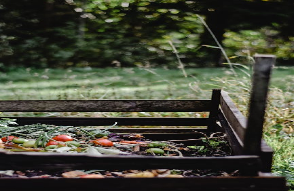Wat is de beste tijd om je tuin te bemesten en waarom?