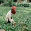 Tips om jouw tuin veiliger te maken