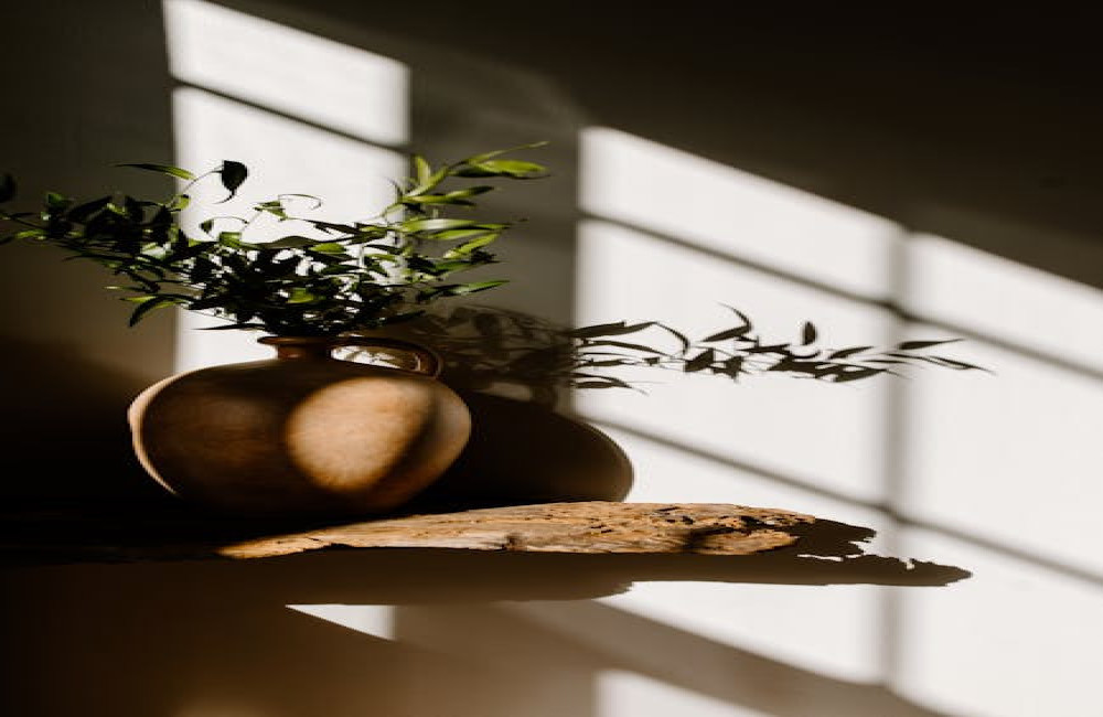 Hoe kiest u de juiste plantenbak voor uw tuin?