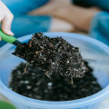 Is het bemest of bemest: hoe mest gebruiken in uw tuin?