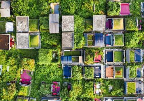 Daktuin aanleggen: tips en technieken voor een groene oase op je dak