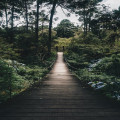 Hoe legt u een sfeervol tuinpad aan zonder tegels?