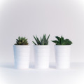 Hoe kies je de beste plantenbakken voor je tuin?