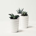 Hoe kies je de juiste planten pot voor je tuin?