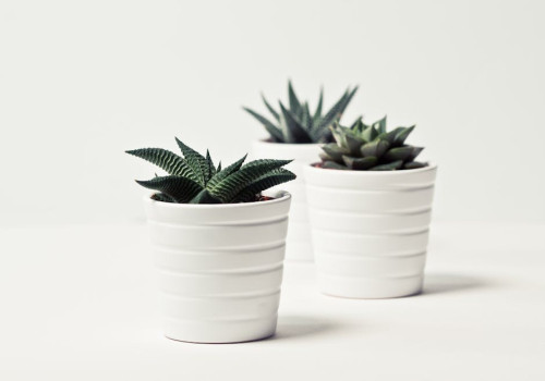 Hoe kies je de juiste planten pot voor je tuin?