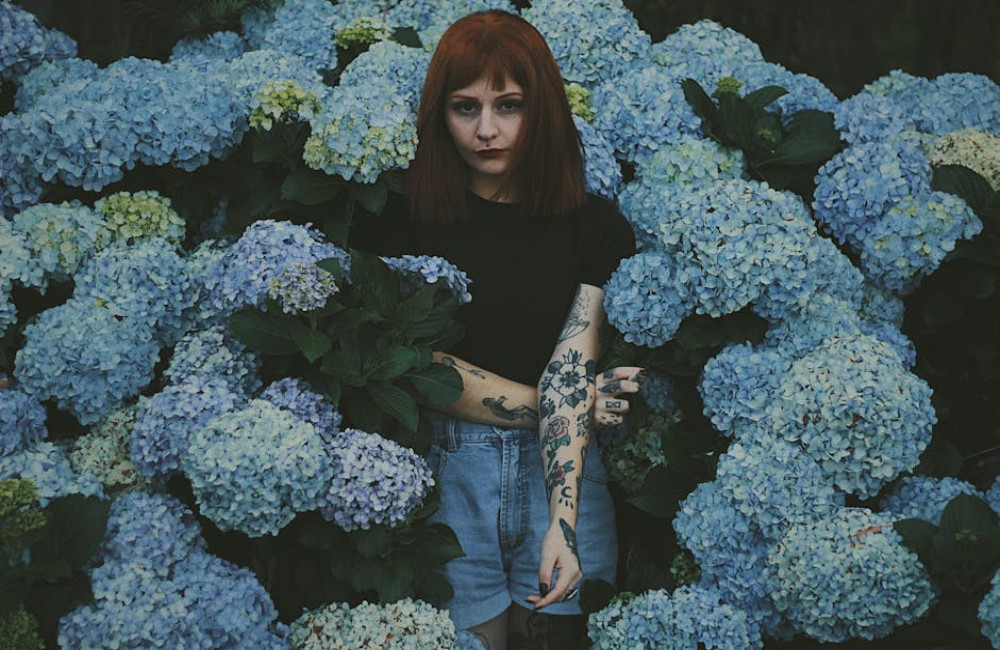 Waarom je hortensia niet bloeit en wat je eraan kunt doen